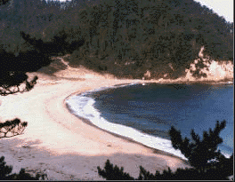 Kotohiki beach