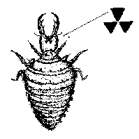 AWSN̊g}