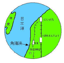 pCln}