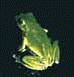 AIKG