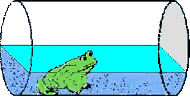 ^